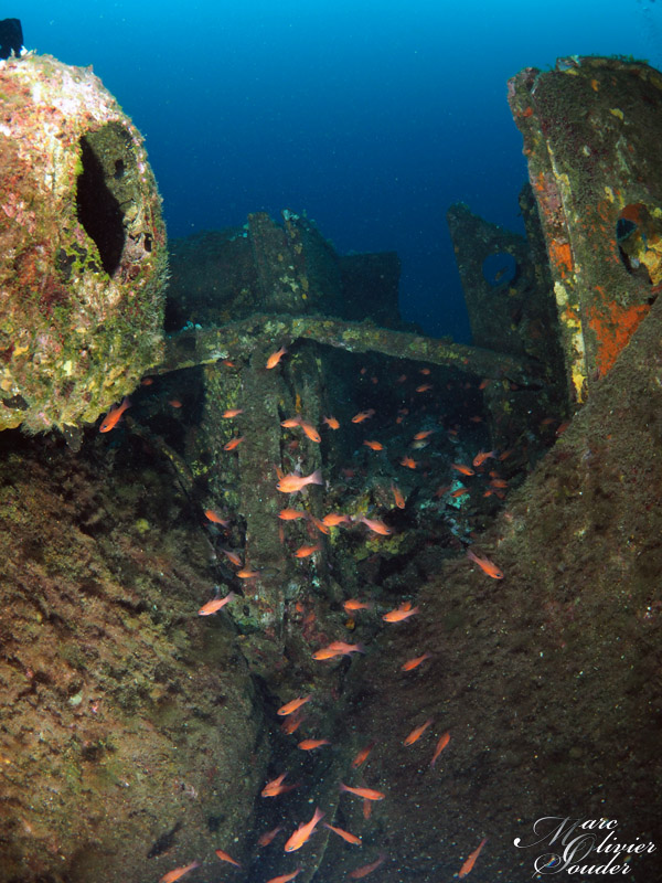 Fabrégas - La seyne sur mer (83), épave, Tromblon, photo sous-marine, barge porte canon, coulée vers 1900, wreck