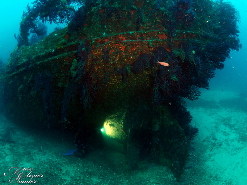 Fabrégas - La seyne sur mer (83), épave, Arroyo, photo sous-marine, wreck